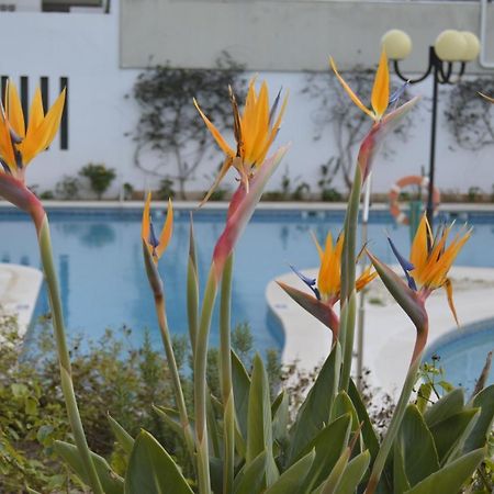 Apartamento Proximo Da Marina Vilamoura C/Piscina E Estacionamento Buitenkant foto
